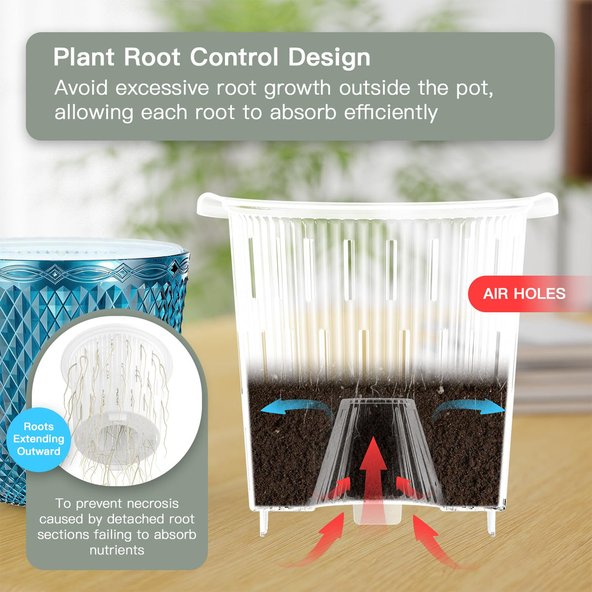 QCQHDU mesh-base drainage self-watering pot ensures proper aeration for healthy roots.