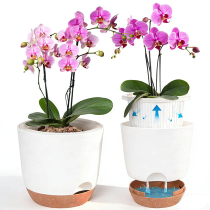 QCQHDU Sxueg self-watering orchid pot in 5.8 inch supports steady moisture for thriving plants