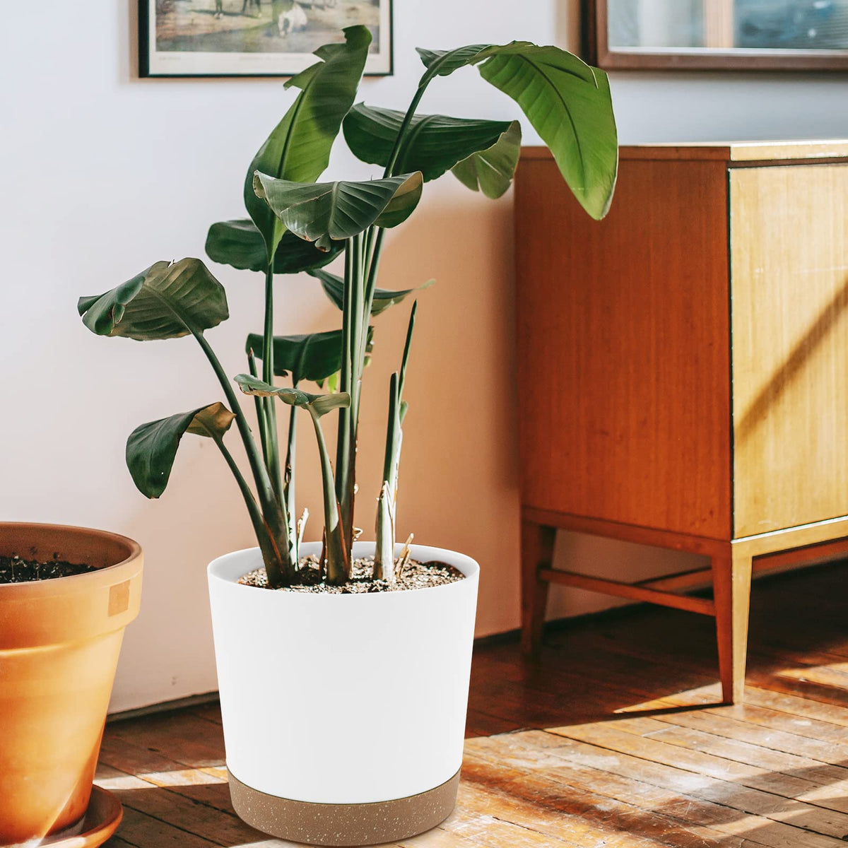 QCQHDU thick-walled polypropylene planter for lasting use