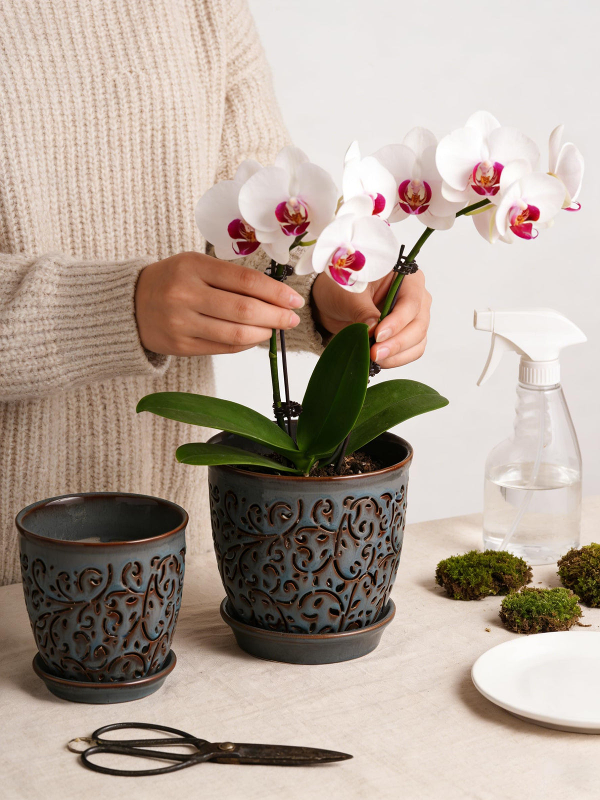 QCYBDGLOV blue ceramic orchid pot with saucer supports outdoor use.