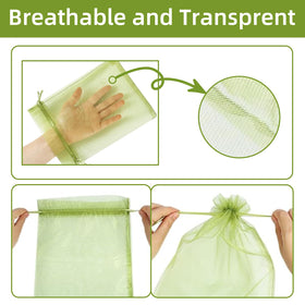 QenFree fruit bags on tree provide pest protection during development