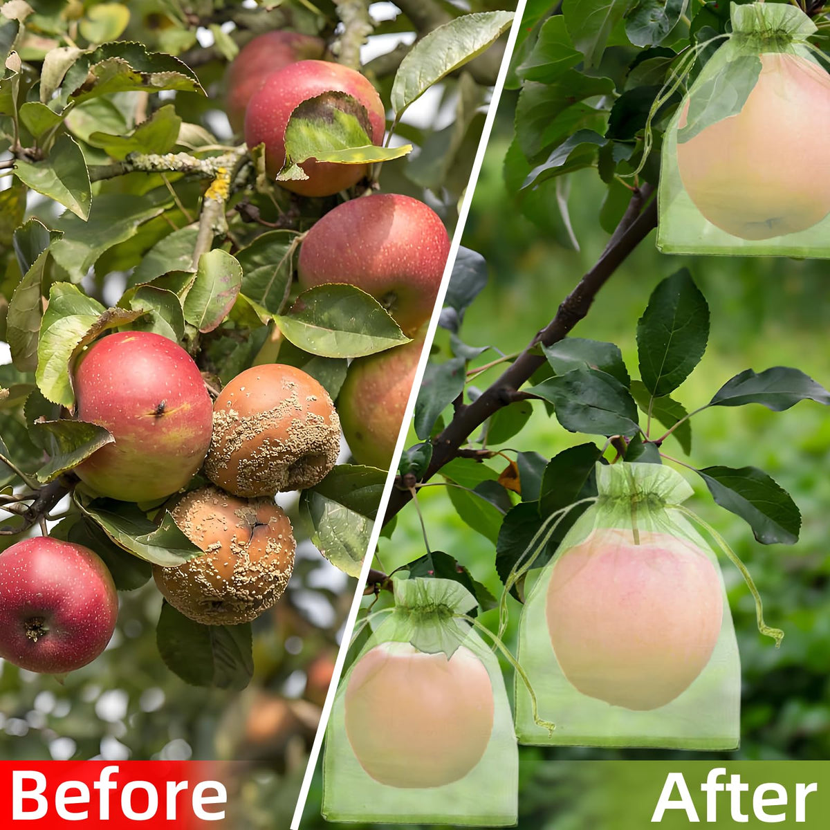 QenFree packaged 100pcs fruit bags for large gardens