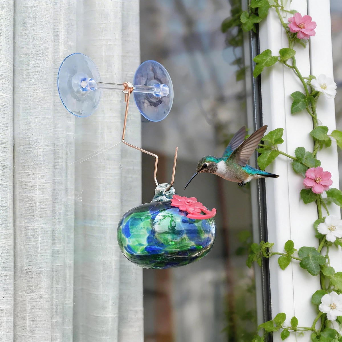 QFkris window hummingbird feeder enables close observation from indoors.