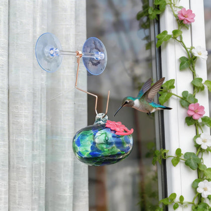 QFkris window hummingbird feeder enables close observation from indoors.