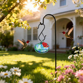 QFkris hummingbird feeder on window display by garden light.