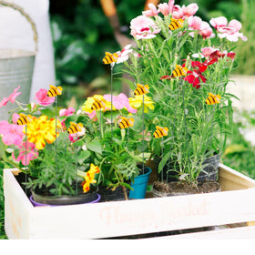 QfwdfcTrenz Bee stake beside potted plants adds cheerful accent.