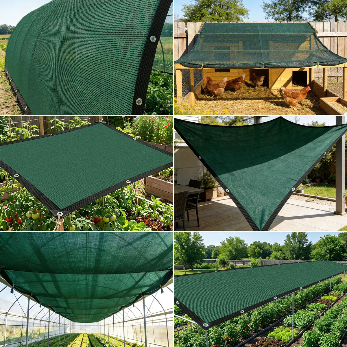 QHAIYYBF greenhouse shade cloth preserves light while reducing heat for plants