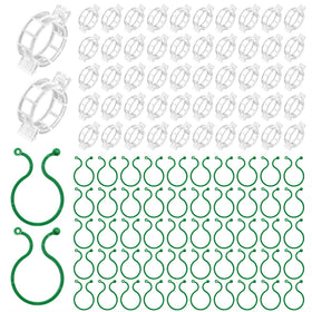 QHYCWIN green 4-cm clip secures thick tomato stems for strong fruiting