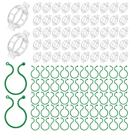 QHYCWIN green 4-cm clip secures thick tomato stems for strong fruiting