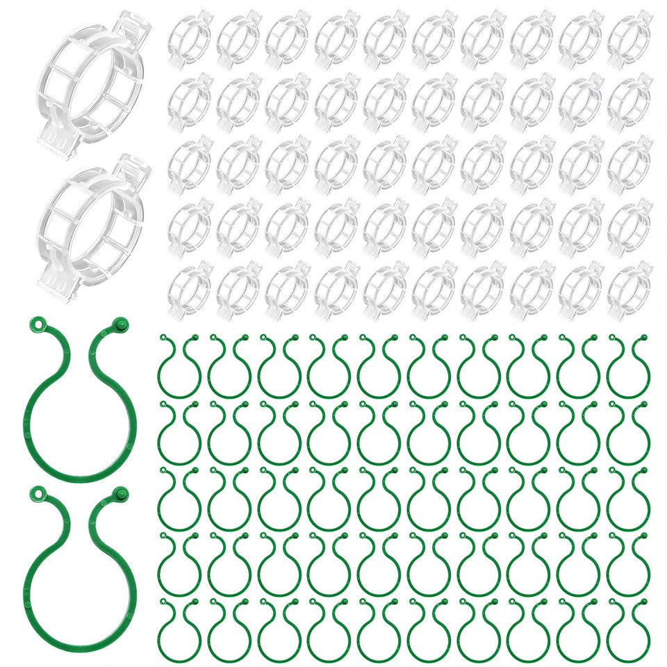 QHYCWIN green 4-cm clip secures thick tomato stems for strong fruiting