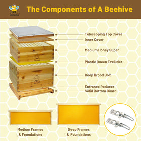 QHZHANG beehive starter kit medium box supports healthy brood and brood space