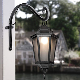Qiang Ni black plant hooks complement outdoor decor.