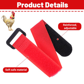 Qianyu rooster collar in red on chicken neck helps manage crowing with color cue