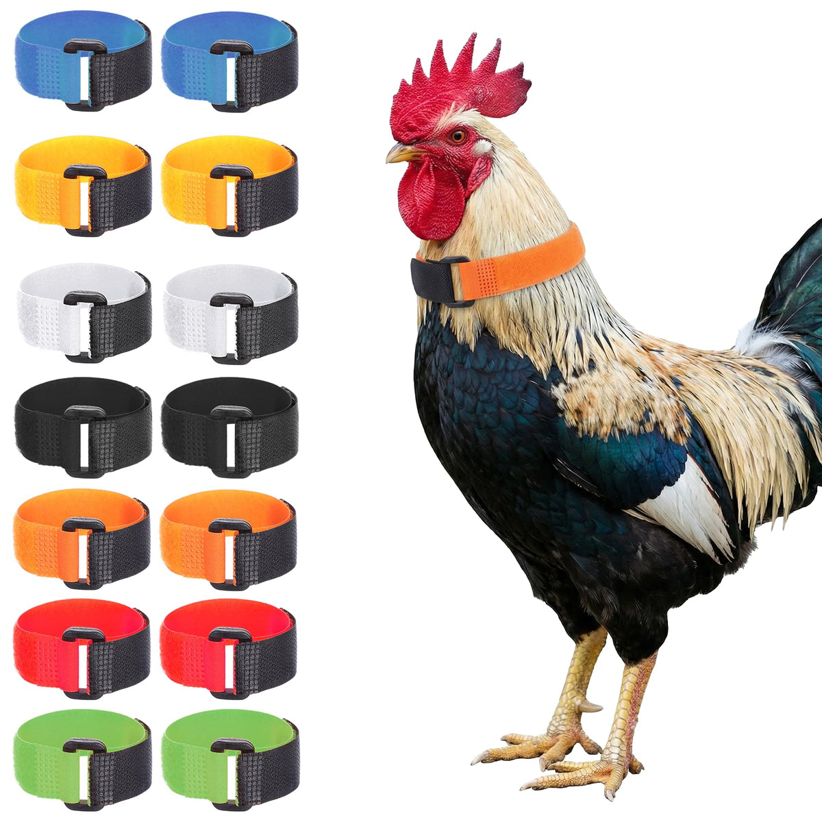 Qianyu rooster collar in white on chicken neck reduces crowing while breathable
