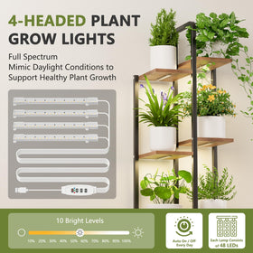 Qiaogreen corner design saves floor space while creating a vibrant plant corner.