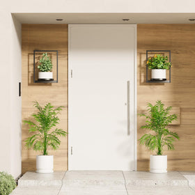 Qiaogreen living-room wall-plant holder adds natural charm to sunny windows.