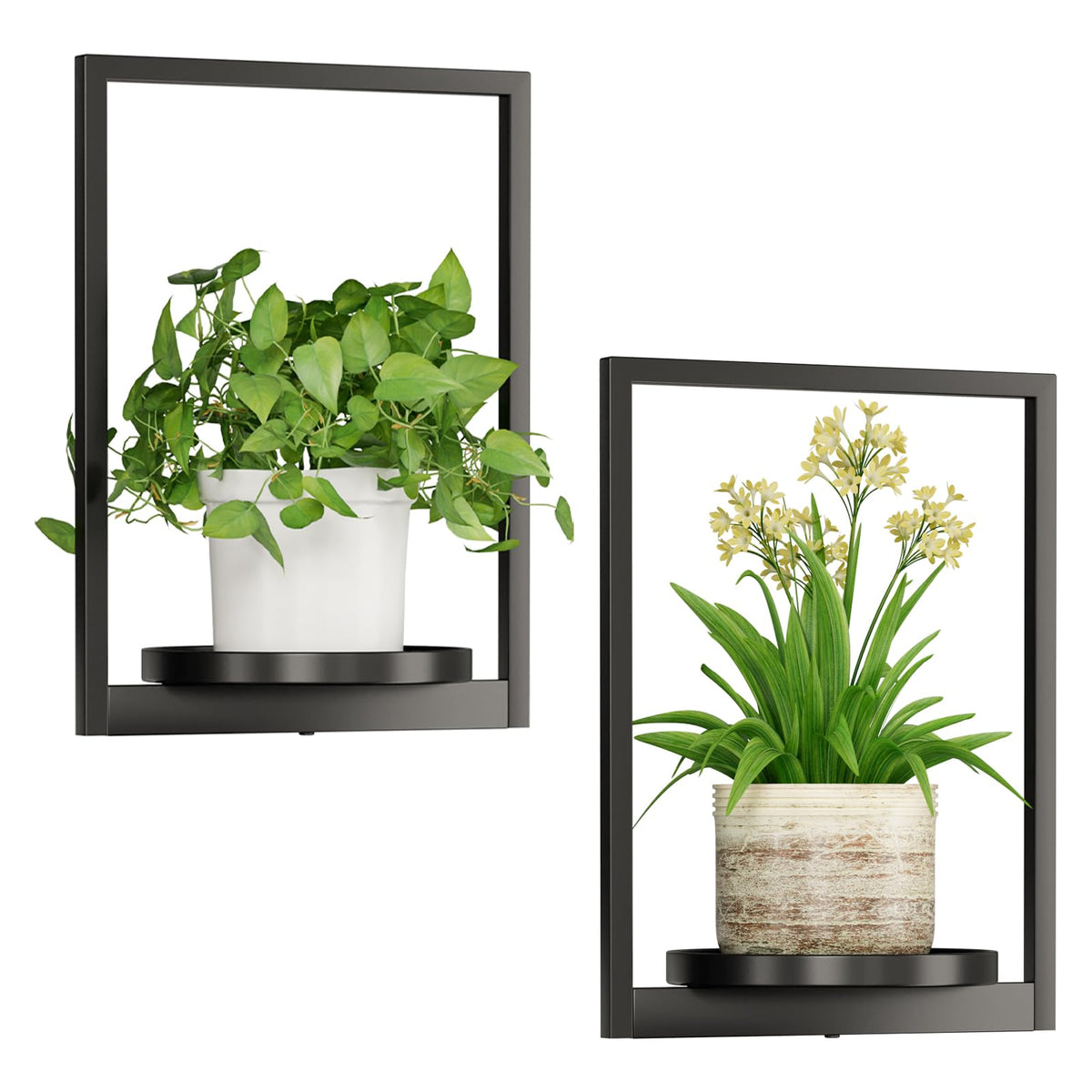 Qiaogreen photo frame wall plant shelf blends greenery with wall art.