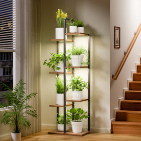 Qiaogreen 7-tier plant stand displays multiple pots for a lush indoor garden.