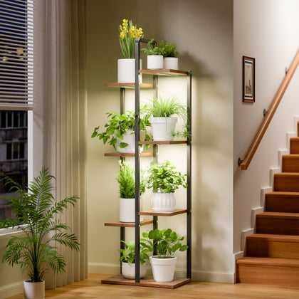 Qiaogreen 7-tier plant stand displays multiple pots for a lush indoor garden.