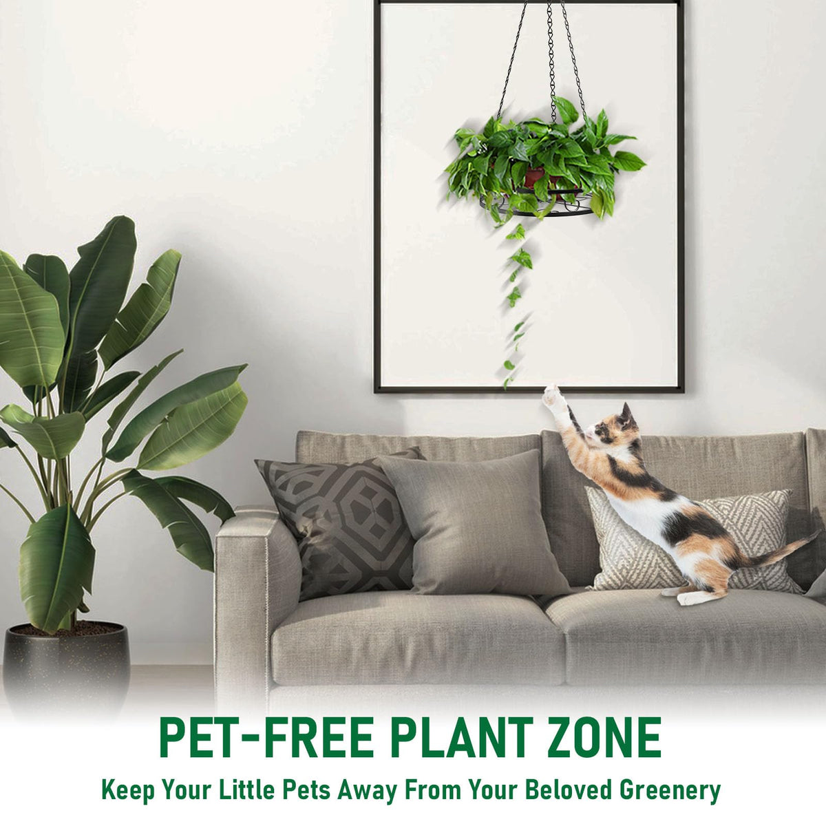 Qiaomeiysp versatile hanging planter setup for windowsill, balcony, or patio.