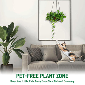 Qiaomeiysp versatile hanging planter setup for windowsill, balcony, or patio.