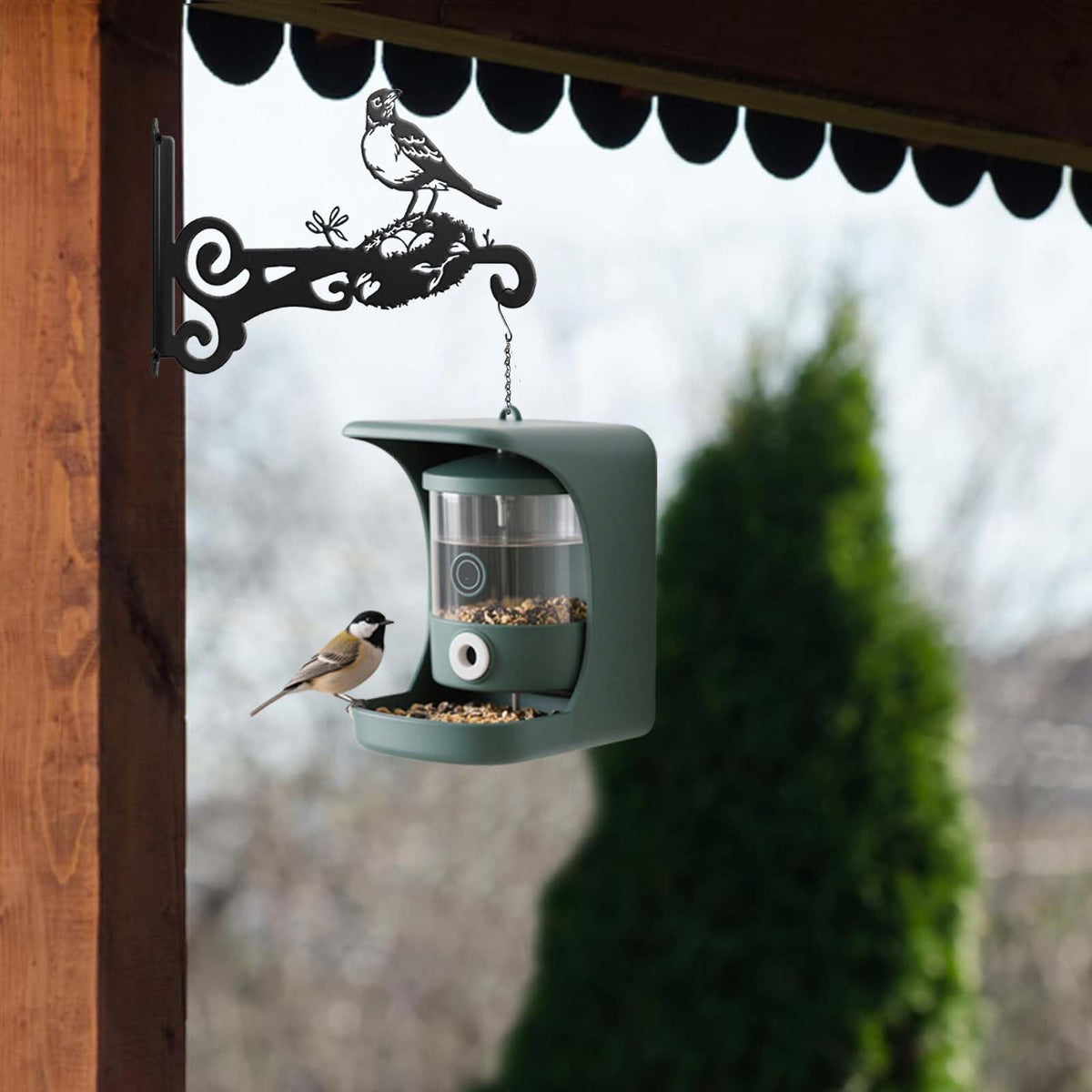 Qiaomeiysp weather-resistant iron construction ensures lasting performance in all seasons