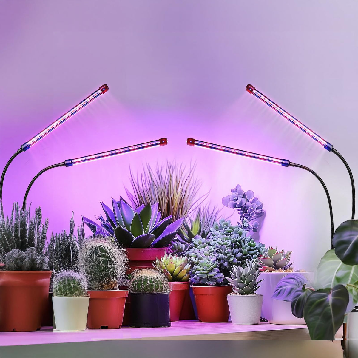 Qicodu grow lights compact desk setup for apartments and offices