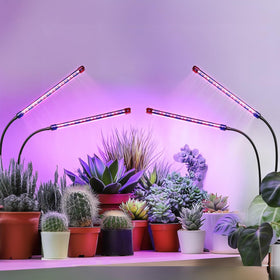 Qicodu grow lights compact desk setup for apartments and offices