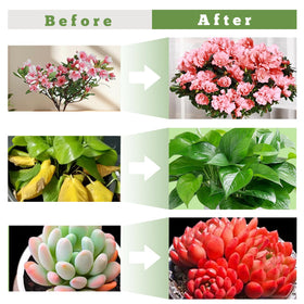 Qicodu grow lights in use with herbs shows indoor lighting efficiency