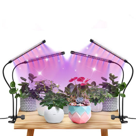 Qicodu grow lights red and blue spectrum close-up supports herb growth