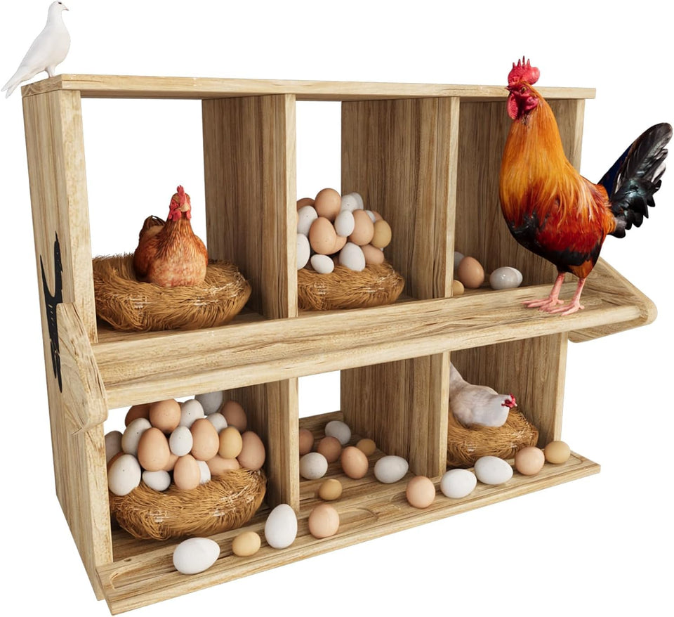 Qifeila chicken nesting box with six compartments for organized egg laying.