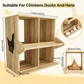 Qifeila chicken nesting box interior with perches demonstrates tidy spaces.