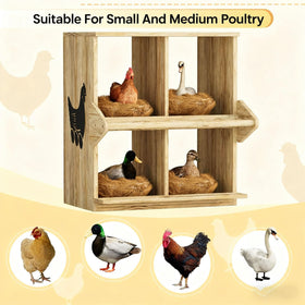 Qifeila nesting box is well-ventilated for comfortable hens across seasons.