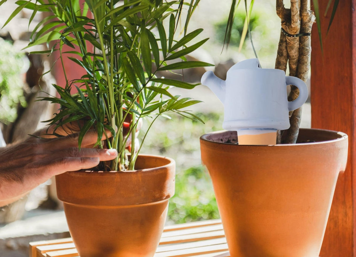 QinSuiKai owl spike design keeps outdoor plants hydrated