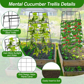 Qinzave 42x16 inch trellis fits raised beds and patios
