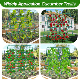 Qinzave cucumber trellis raised-bed setup for elevated plants and better airflow.
