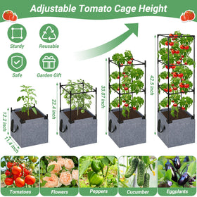 Qinzave fiberglass stakes provide stable, tall plant support