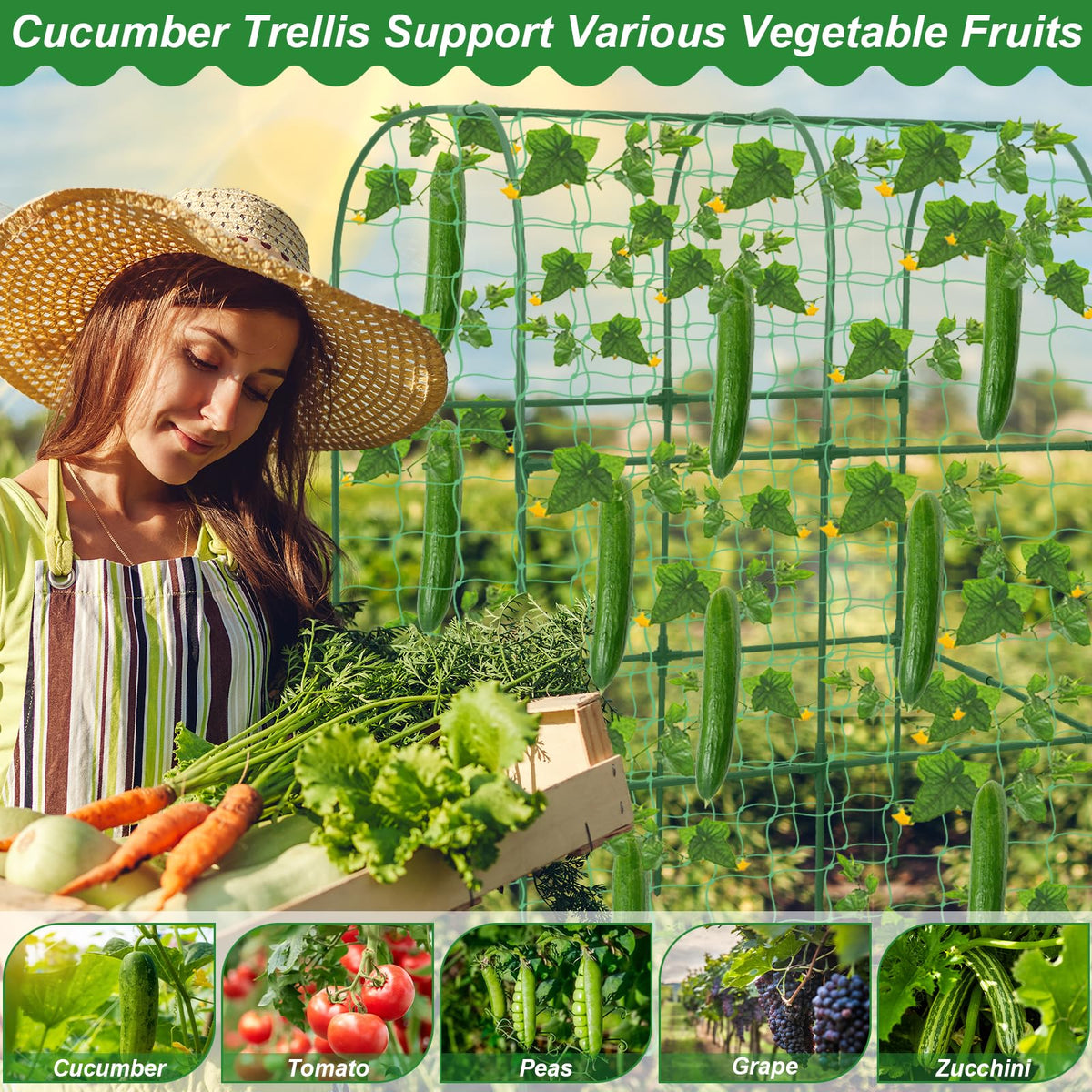 Qinzave garden arch accommodates vegetables growing vertically in a compact space.