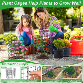 Qinzave plant protector stands steady in wind, safeguarding young plants.