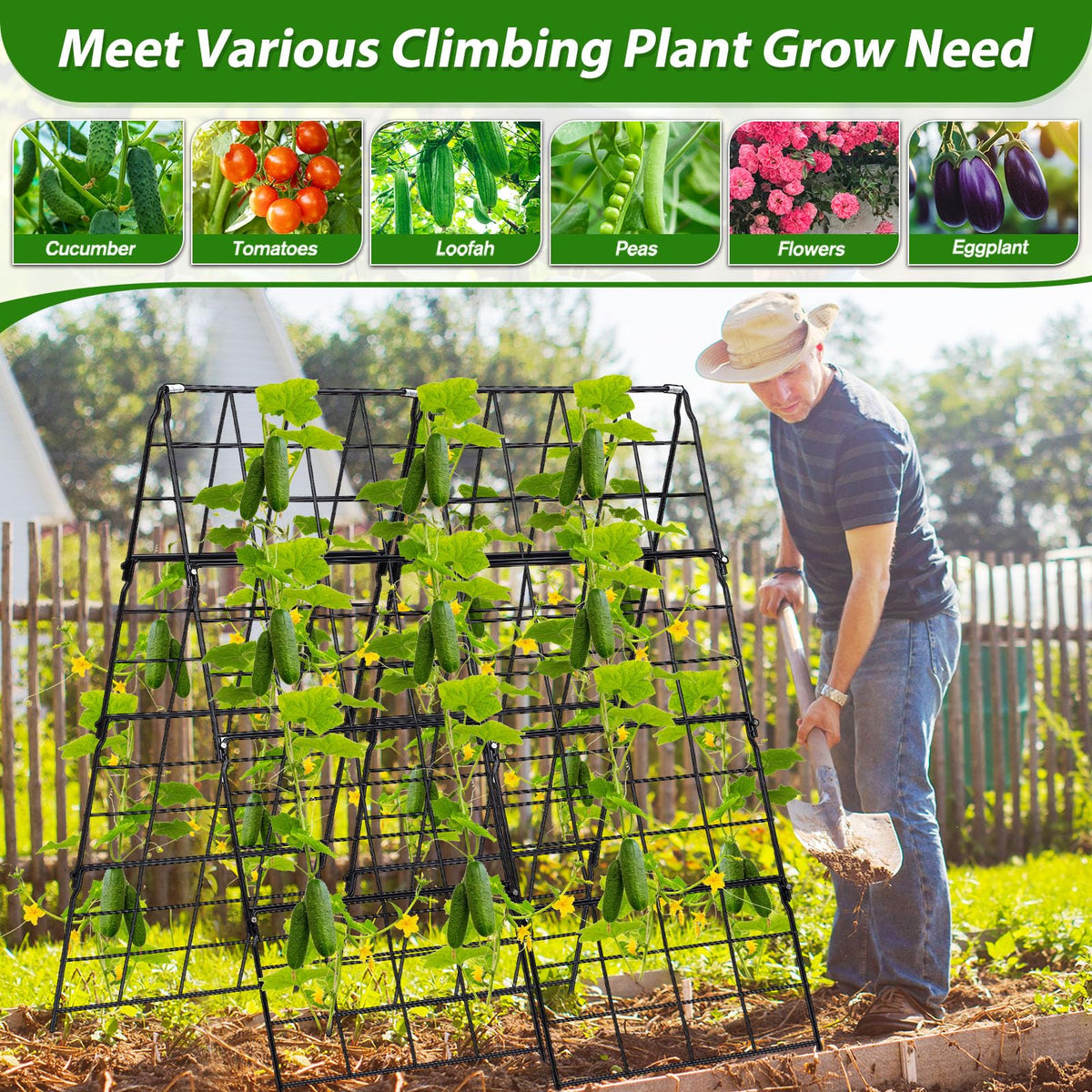 Qinzave raised-bed garden support keeps cucumbers off soil
