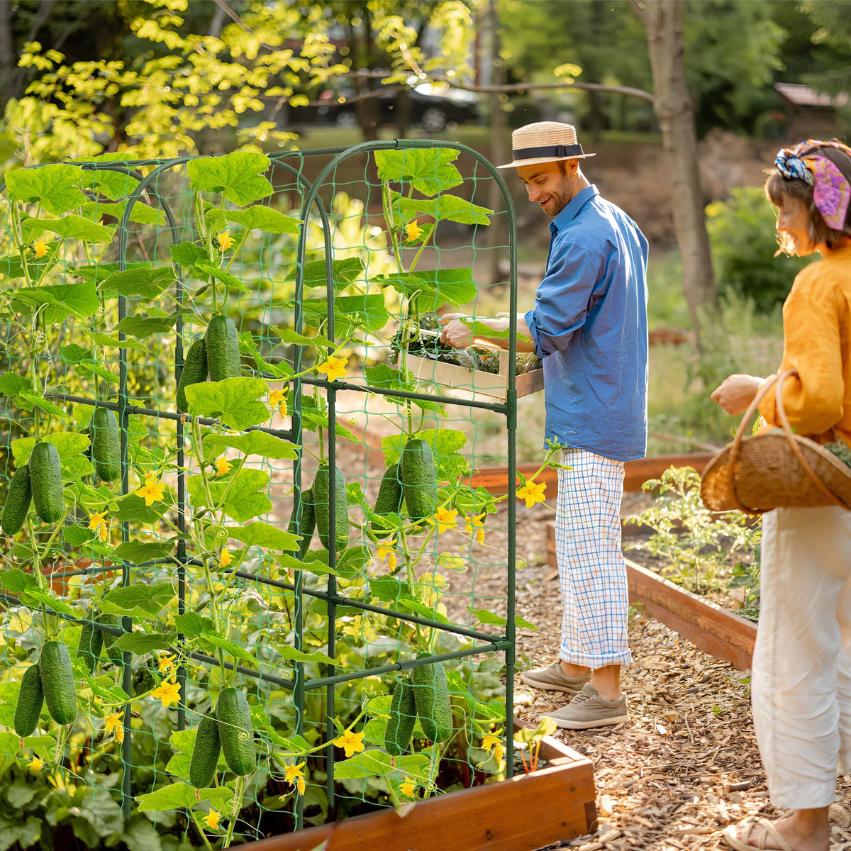 Qinzave garden trellis improves vertical space and crop yield potential.