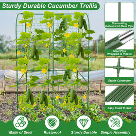Qinzave U-shape arch design shows improved stability and side-growing space for plants.