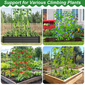 Qinzave raised-bed setup enables better sunlight exposure and air circulation.