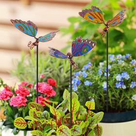 Qipade garden stake decorates pathway borders creating whimsical ambiance.
