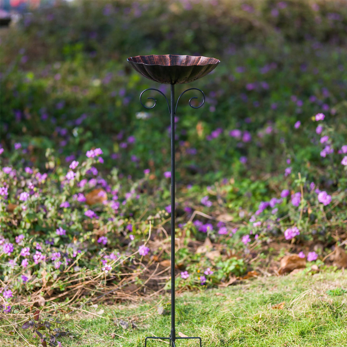 Qipade copper bird bath bowl 10-inch diameter invites wildlife to drink