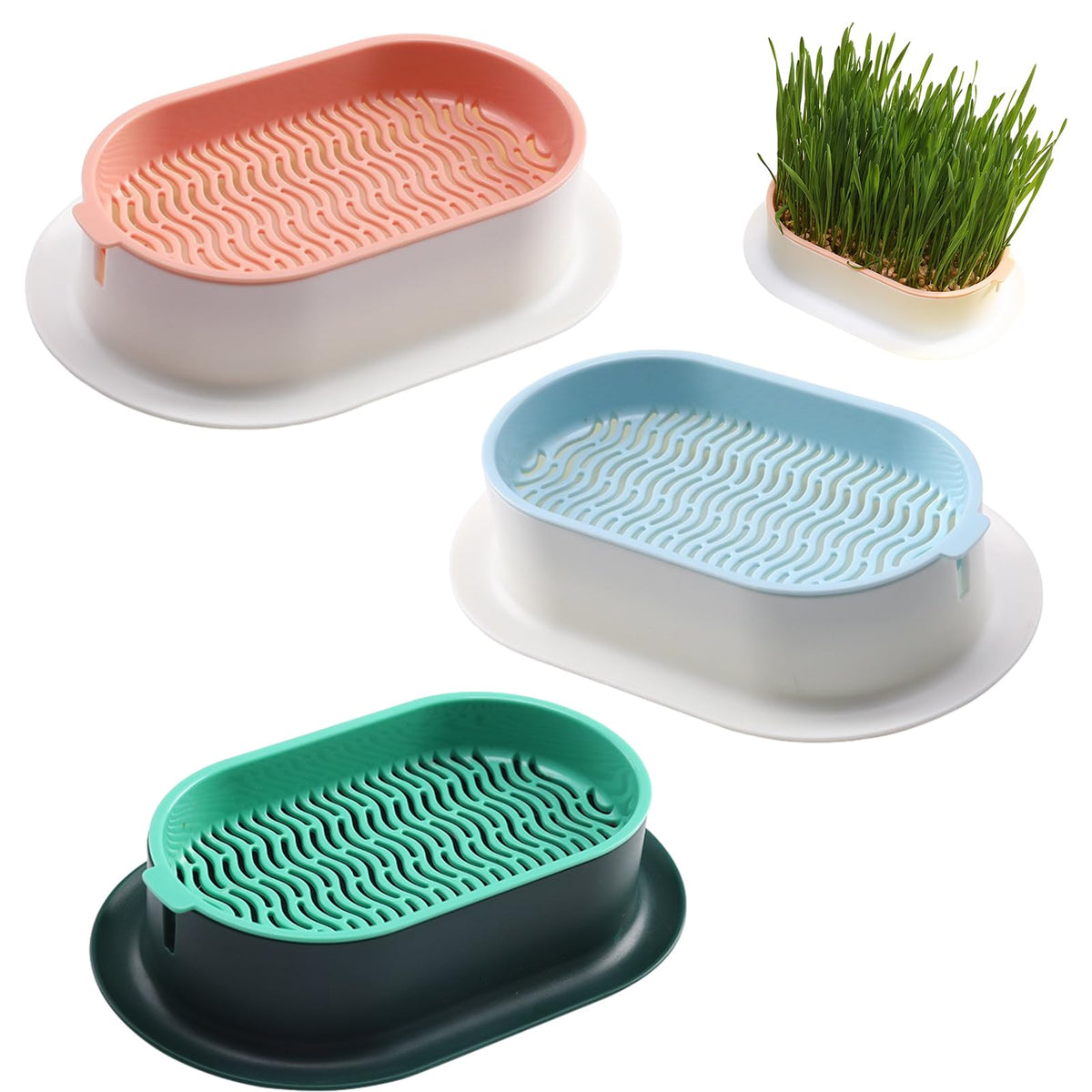 Qirvaten 3-pack cat grass planter ships ready to use.