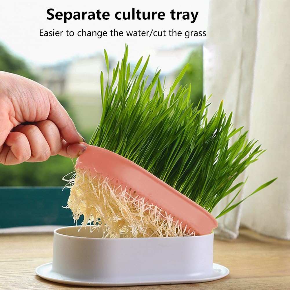 Qirvaten cat grass planter with smooth, easy-clean surface.