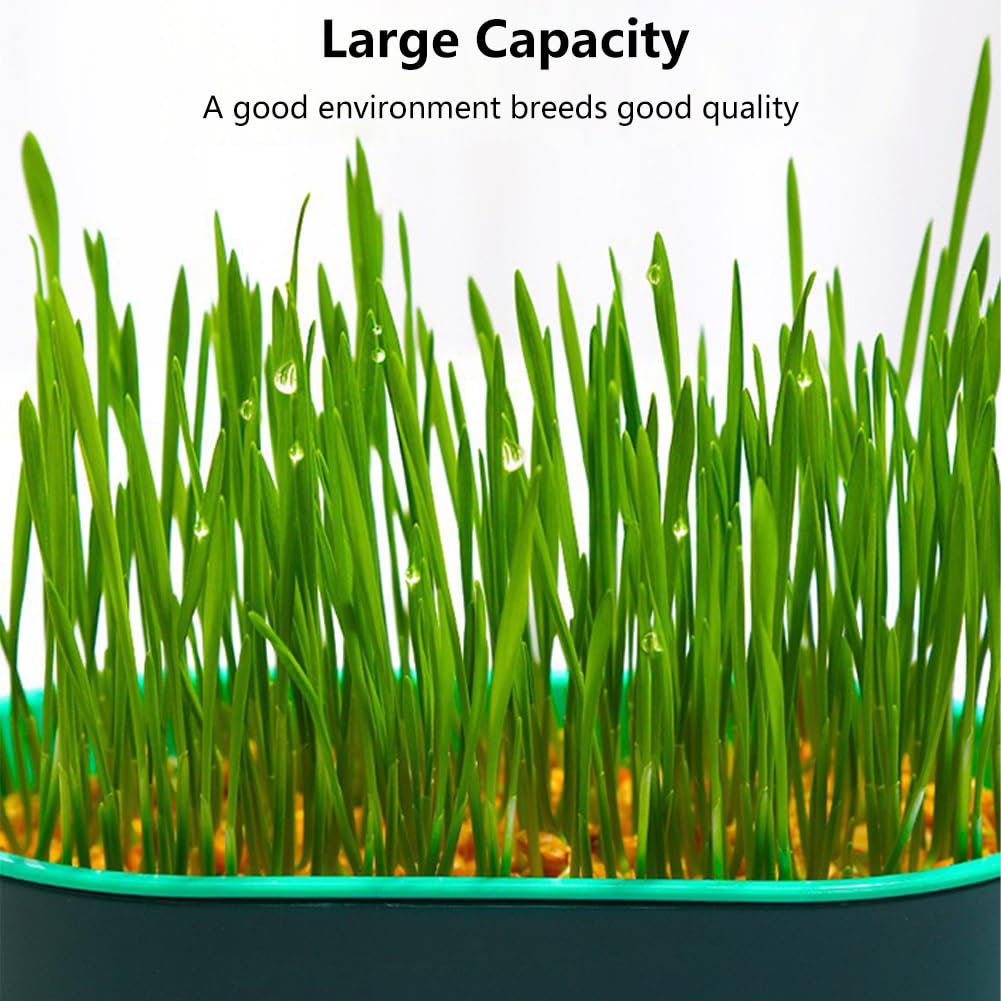 Qirvaten cat grass planter showing separate water basin for easy maintenance.