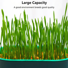 Qirvaten cat grass planter showing separate water basin for easy maintenance.