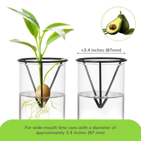 Qiuruoo avocado seed starter vase indoor decor highlighting stylish metal shelves.